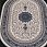 Ковер KASHAN 752306 000 Овал